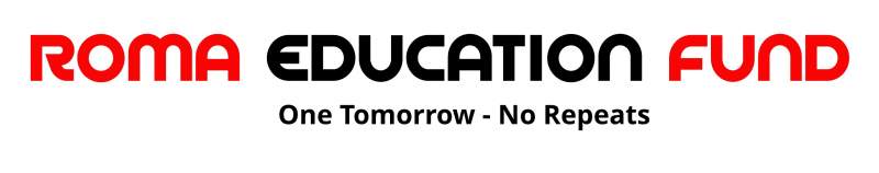 roma education fund logo